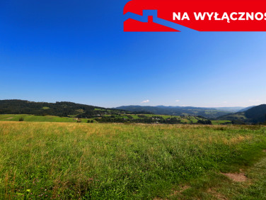 Działka Grywałd