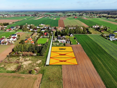 Działka Nasutów