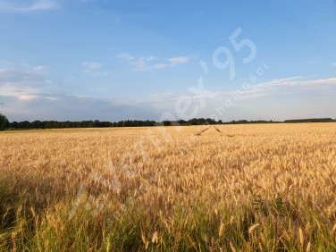 Działka rolna Szczepanów