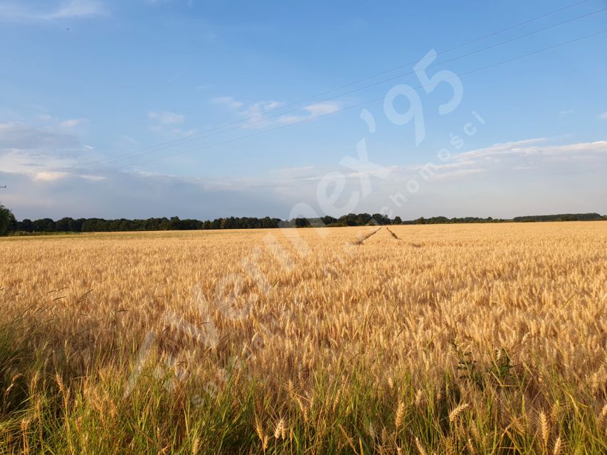 Działka rolna Szczepanów
