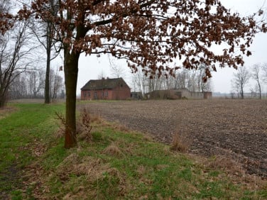 Dom Stryków