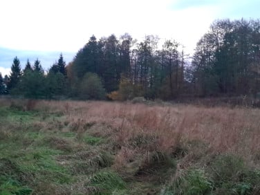 Działka budowlana Aleksandrów Łódzki