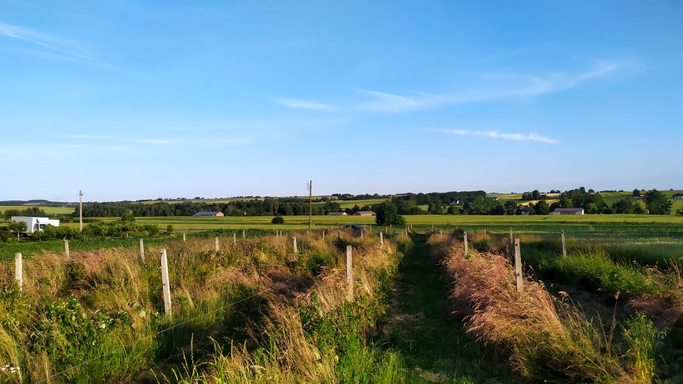 Działka budowlana Bychawka Trzecia-Kolonia