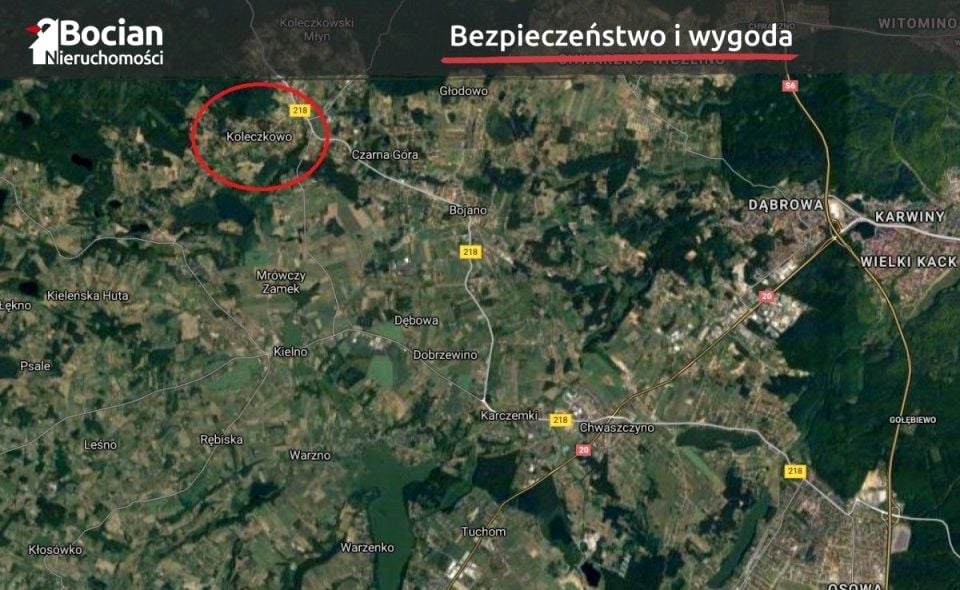 Zdjęcie 3
