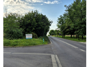 Działka OLKUSZ