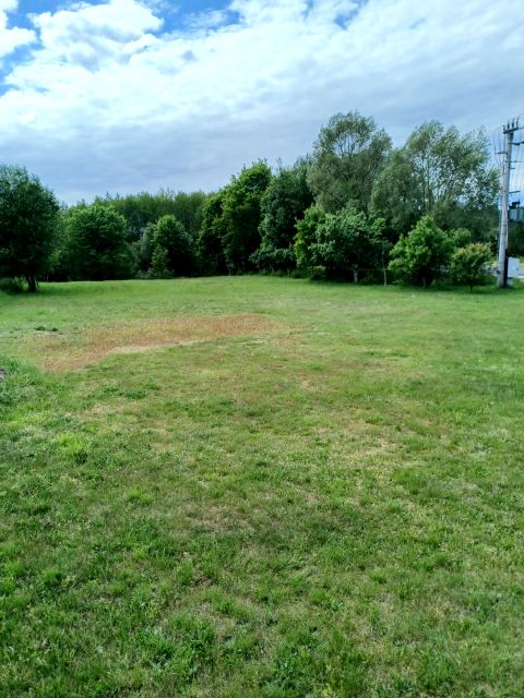 Działka budowlana Małomice