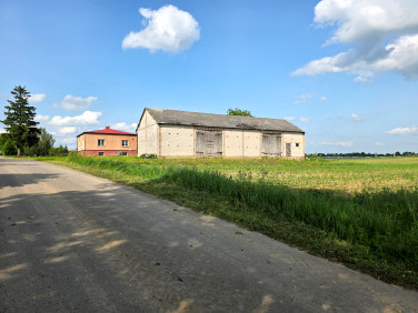 Działka budowlana Bogucin
