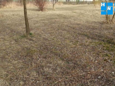 Działka usługowa Reguły