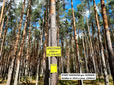 Działka leśna Stary Sokołów