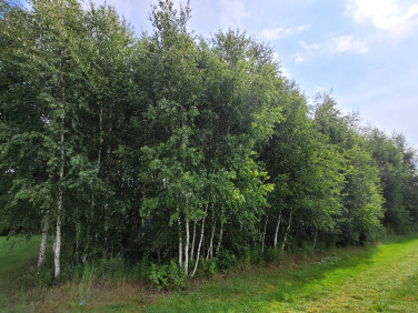 Działka budowlana Dachowa