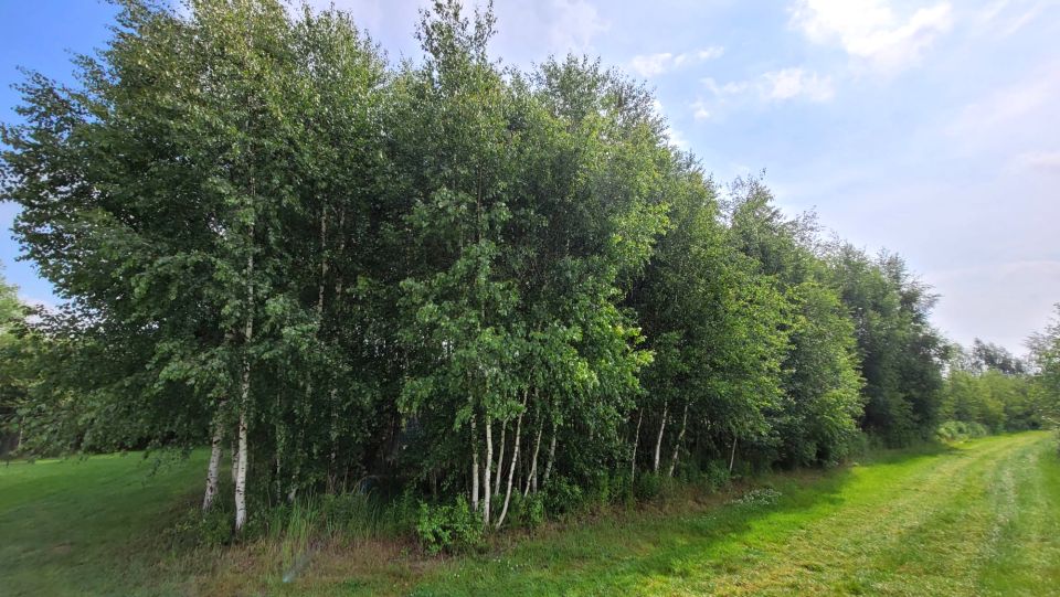 Działka budowlana Dachowa