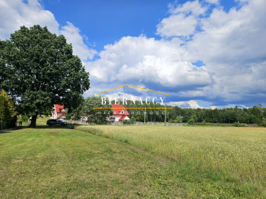 Działka budowlana Lewickie-Kolonia