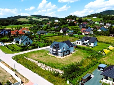 Dom Dziwiszów