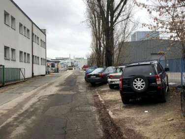 Lokal Łódź wynajem