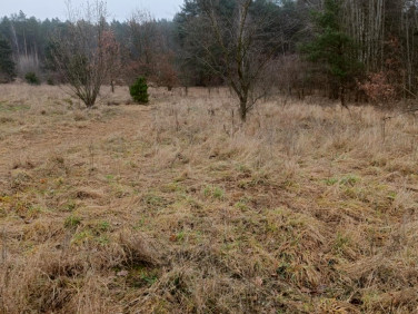 Działka Zawady