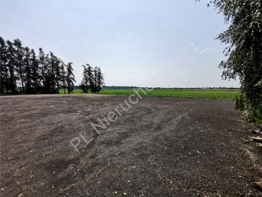 Działka siedliskowa Umiastów