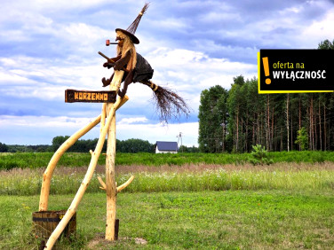 Działka budowlana Korzenno