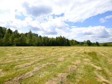 Działka Szydłowiec