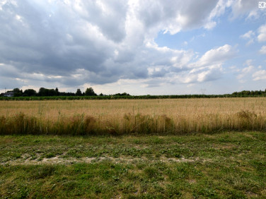 Działka budowlana Motycz