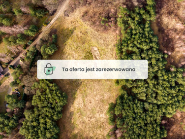 Działka przy lesie