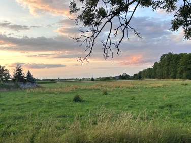Działka inna Żytowice