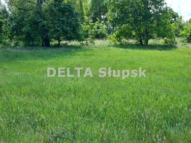 Działka inwestycyjna Smołdziński Las