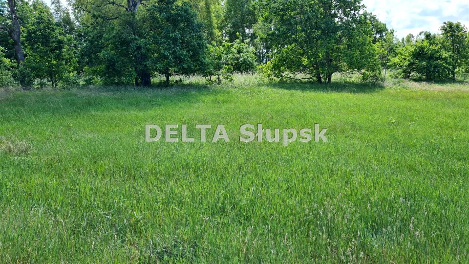 Działka inwestycyjna Smołdziński Las
