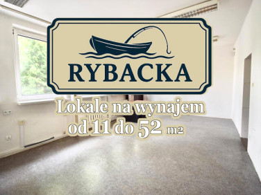 Lokal Opole