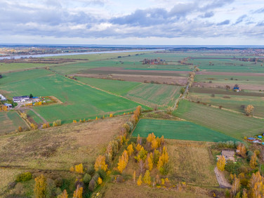 Działka Drewnica