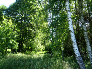 Działka budowlana Adamów