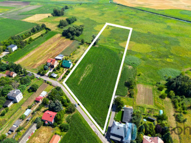 Działka przy lesie