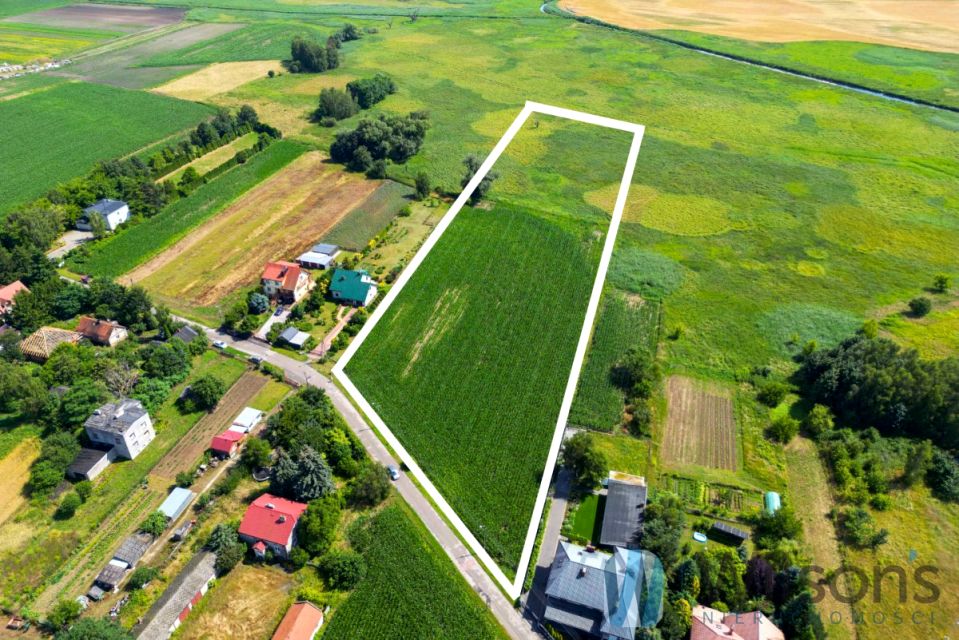 Działka przy lesie