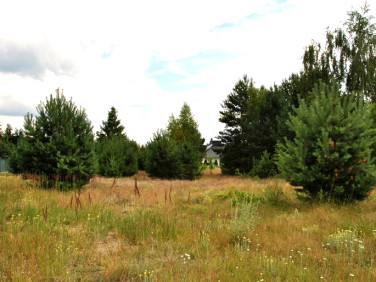 Działka budowlana Ciele sprzedam