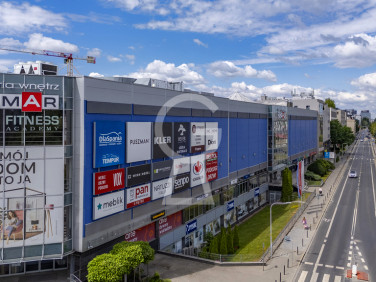 Lokal Wrocław