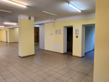 Lokal Jelenia Góra