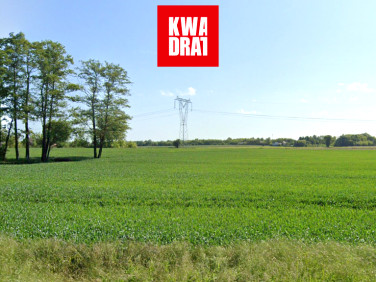 Działka usługowa sprzedam