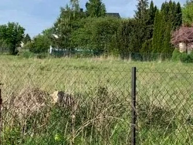 Działka budowlana Młochów