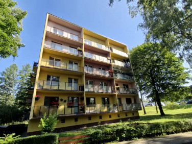 Mieszkanie Zabrze