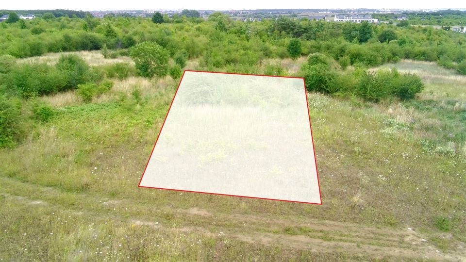 Zdjęcie 2