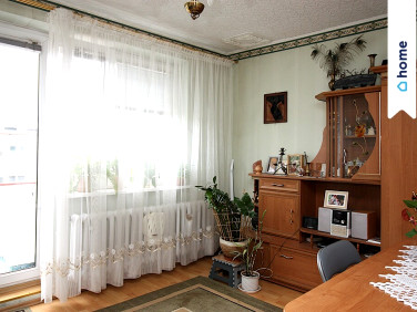 Mieszkanie przy lesie