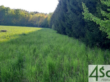 Działka budowlana Rusiec