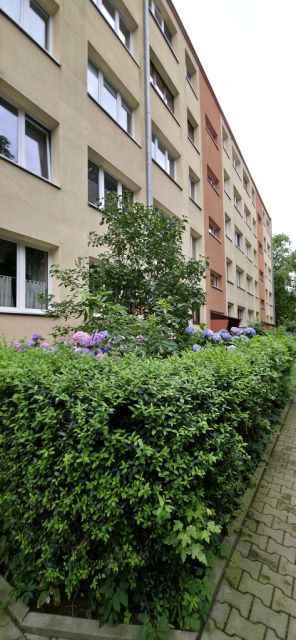 Mieszkanie Kraków