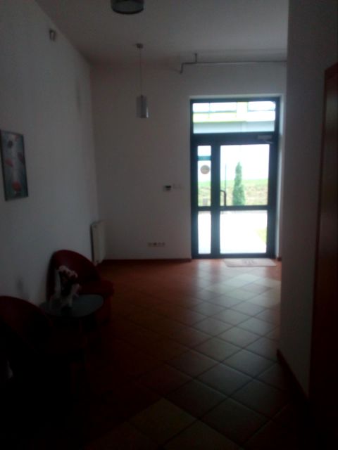 Lokal Nowy Sącz