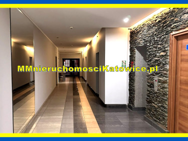 Lokal Katowice