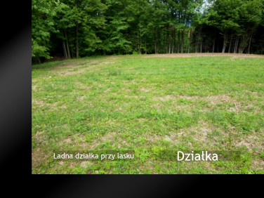 Działka Żywiec