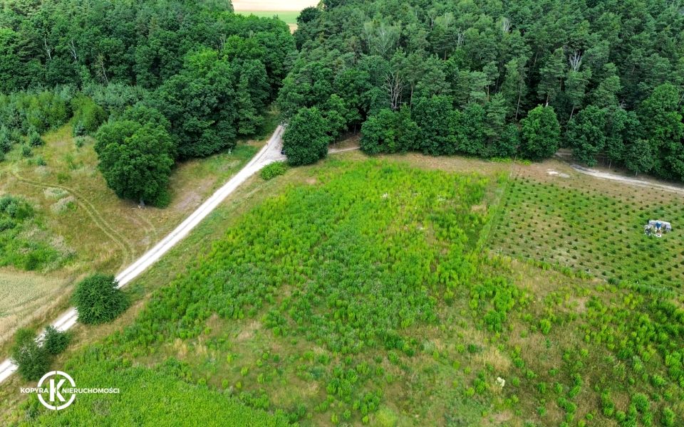 Pusta działka Czernikowice