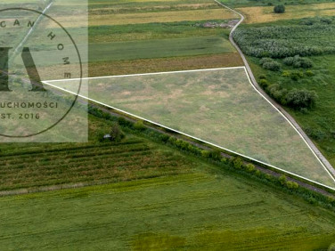 Działka rolna Tolkmicko