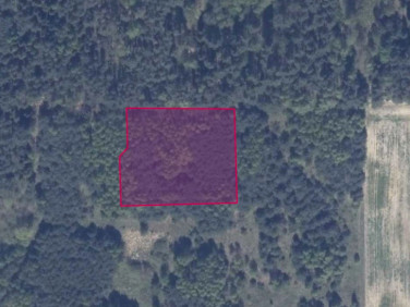 Działka rolna Graniczna Wieś sprzedam