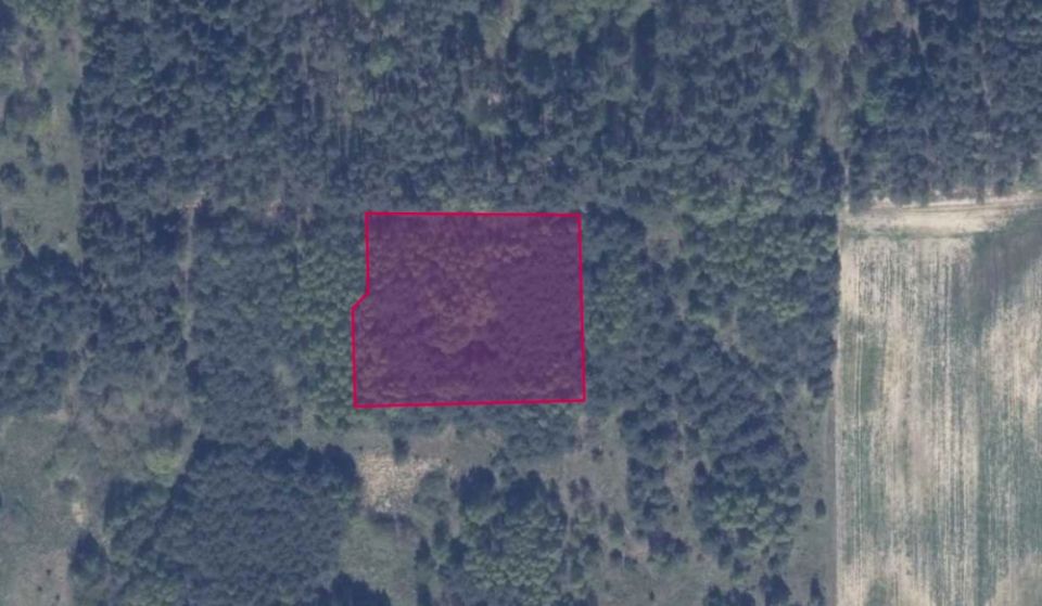 Działka rolna Graniczna Wieś sprzedam