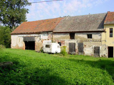 Dom Krasków